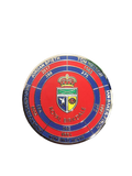 Champions Pocket Coin